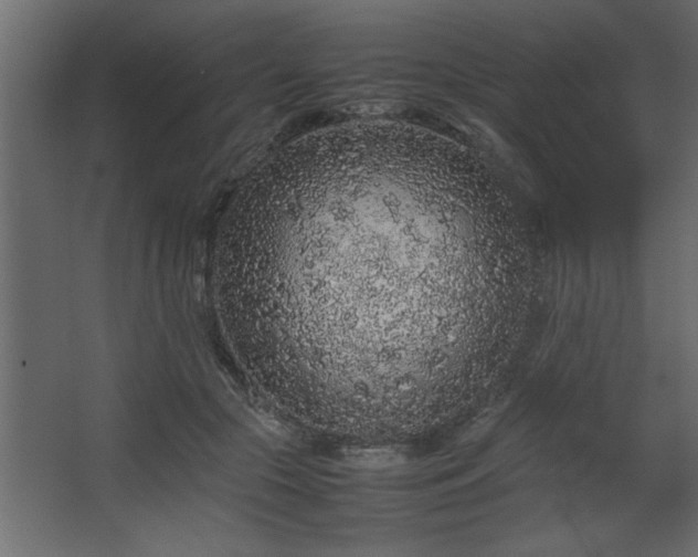 X0000067910553200604201407