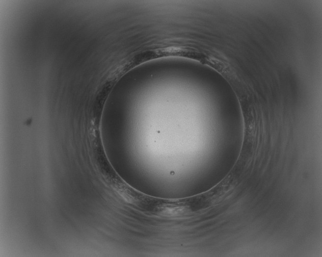 X0000067910555200604201407