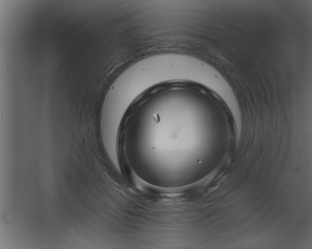 X0000067910556200604201407