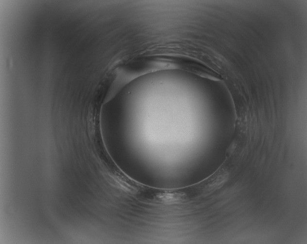 X0000067910558200604201407