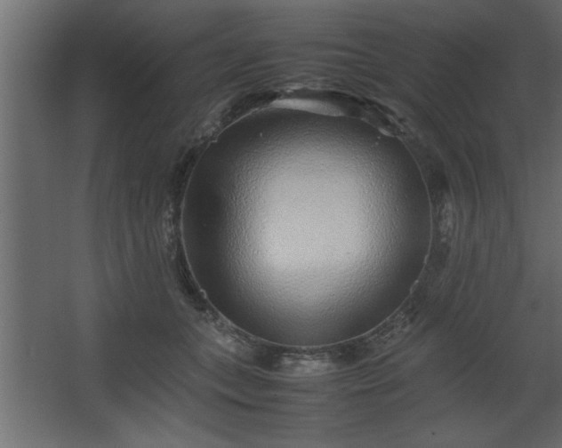 X0000067910559200604201407