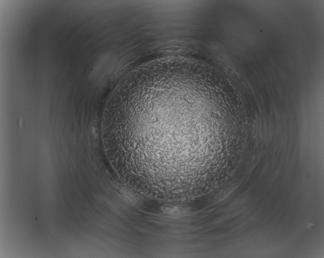 X0000067910561200604201407