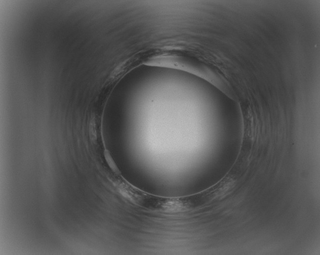 X0000067910562200604201407