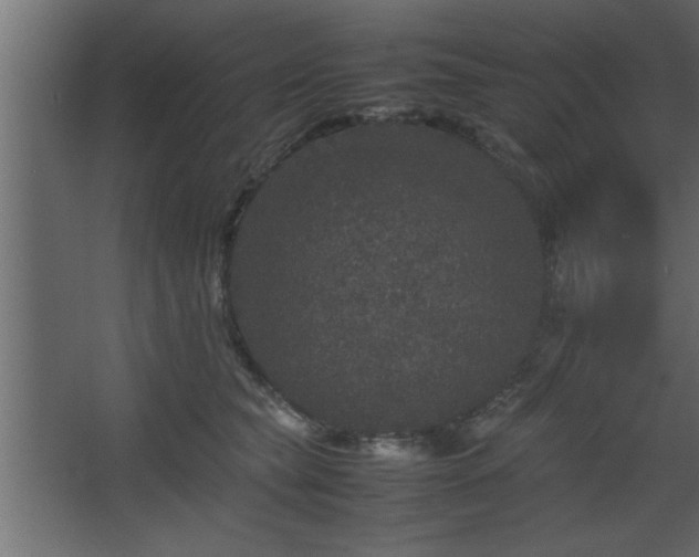 X0000067910565200604201407