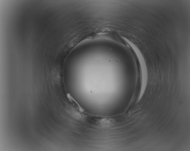 X0000067910566200604201407