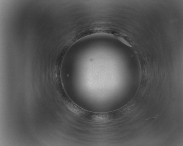 X0000067910567200604201407