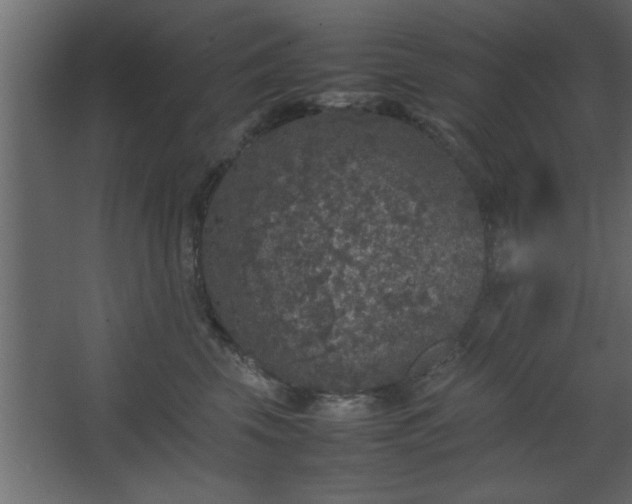 X0000067910569200604201407