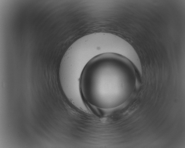 X0000067910570200604201407