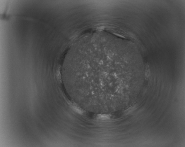 X0000067910573200604201407