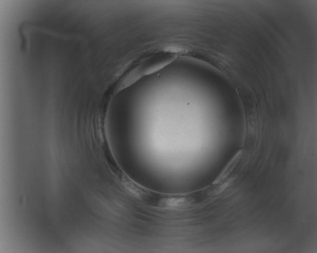 X0000067910575200604201407