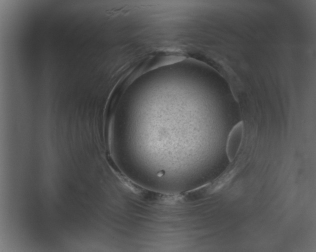 X0000067910576200604201407