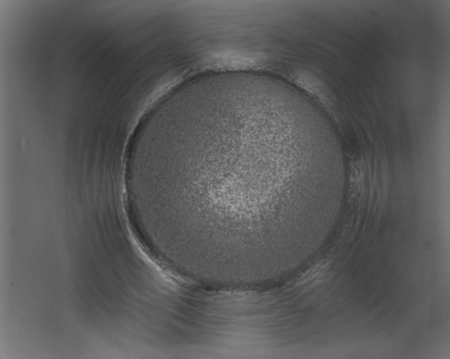 X0000067910582200604201407