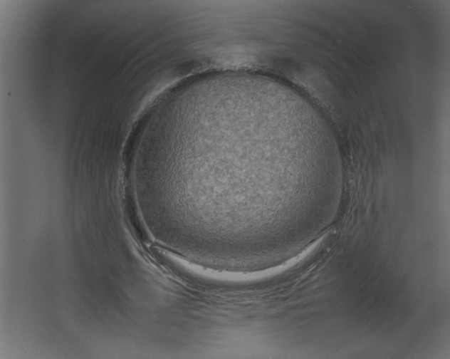 X0000067910583200604201407