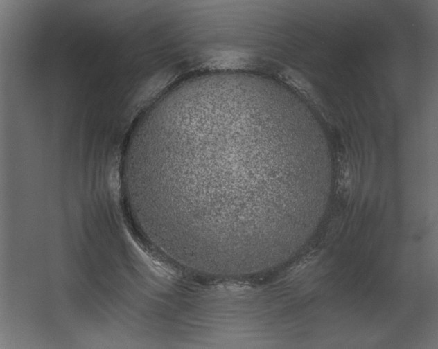 X0000067910586200604201407