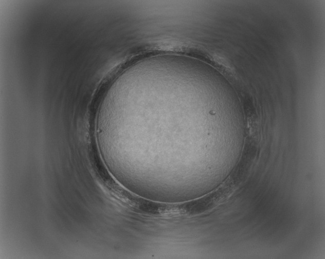 X0000067910587200604201406