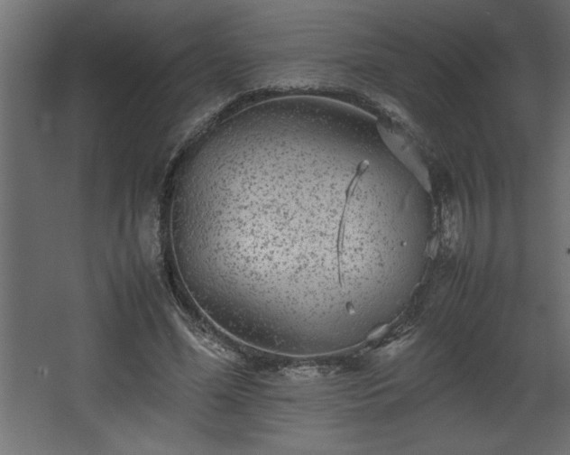 X0000067910588200604201406