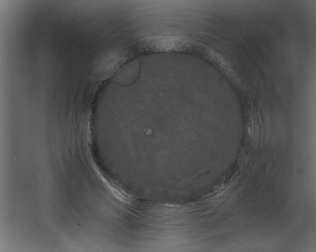 X0000067910590200604201406