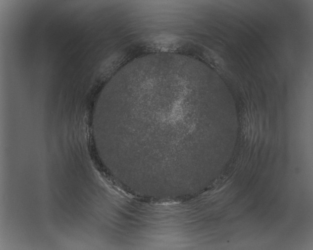 X0000067910594200604201406