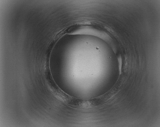 X0000067910600200604201406