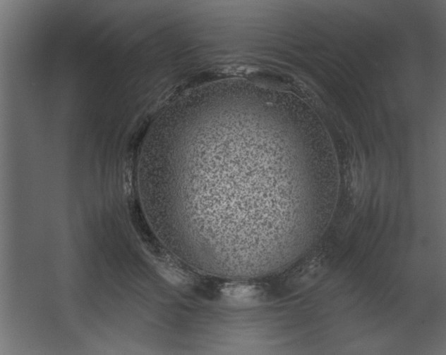 X0000067910602200604201406