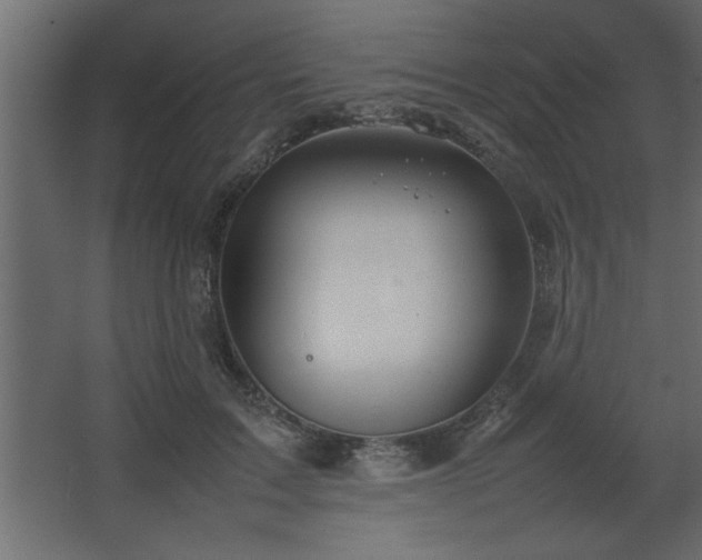 X0000067910603200604201406