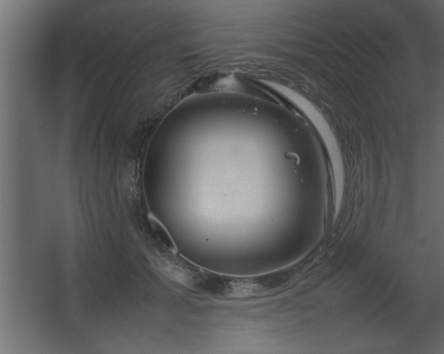 X0000067910605200604201406