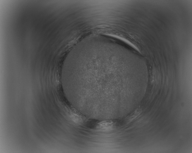 X0000067910606200604201406