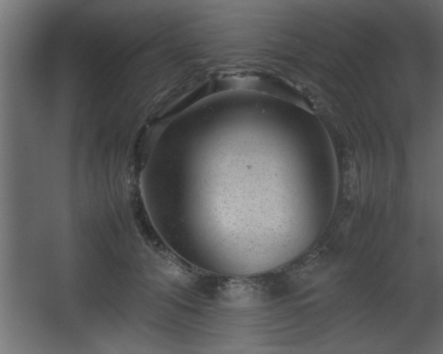 X0000067910608200604201406