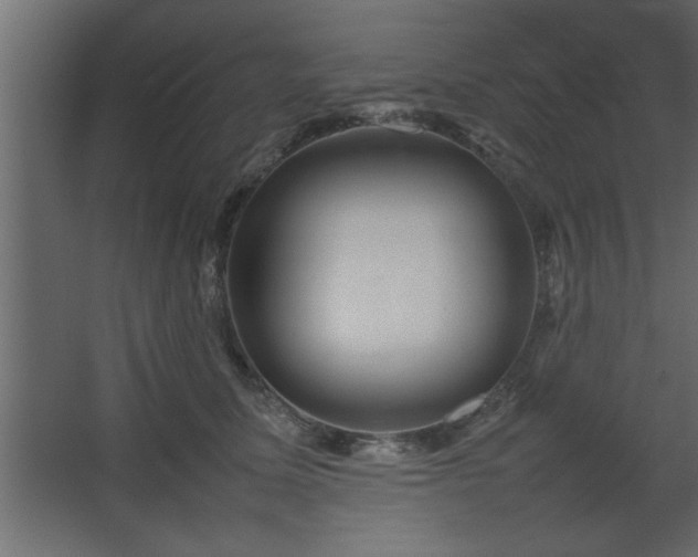 X0000067910611200604201406