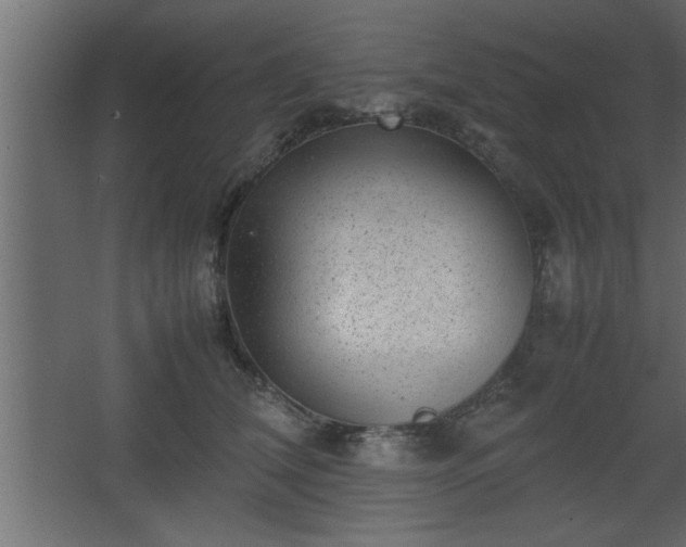 X0000067910612200604201406