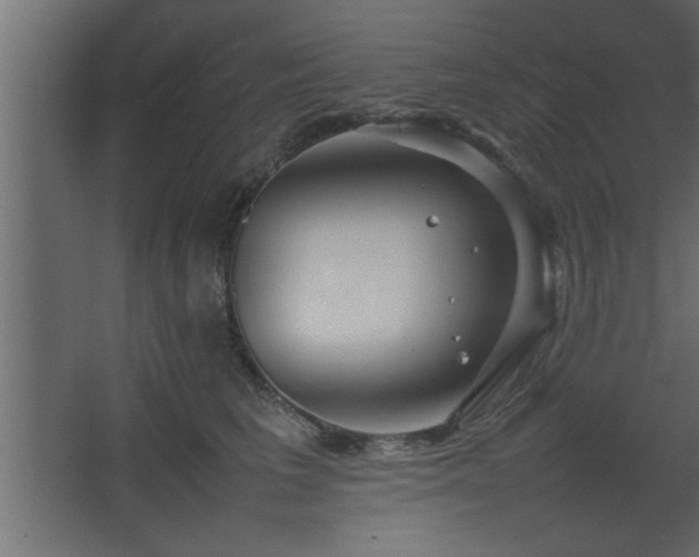 X0000067910613200604201406