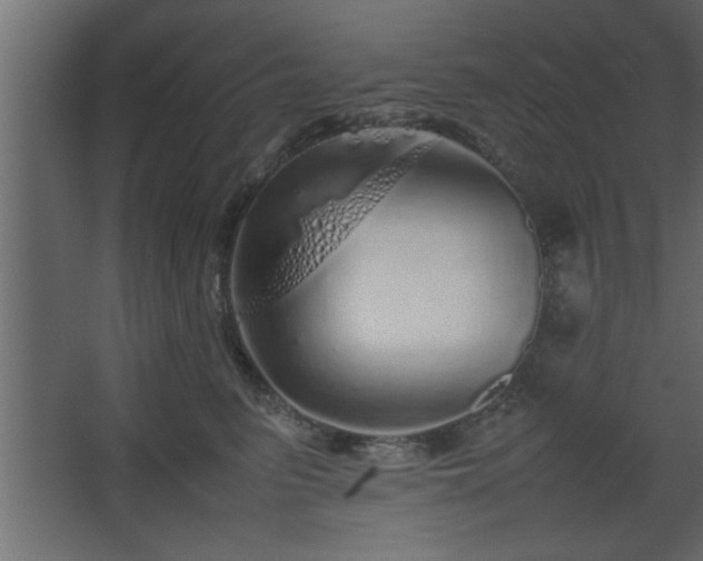 X0000067910615200604201406