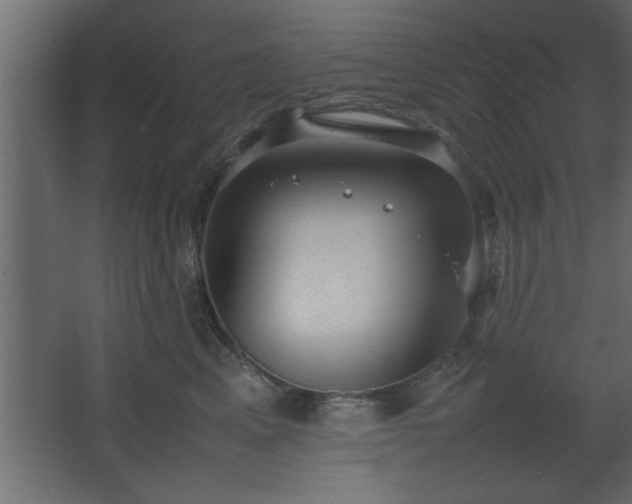 X0000067910617200604201406