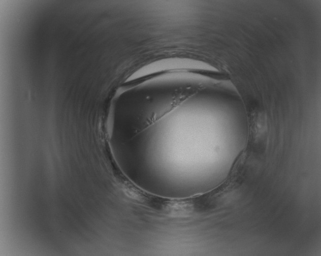 X0000067910619200604201406