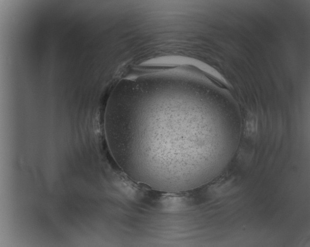 X0000067910620200604201406