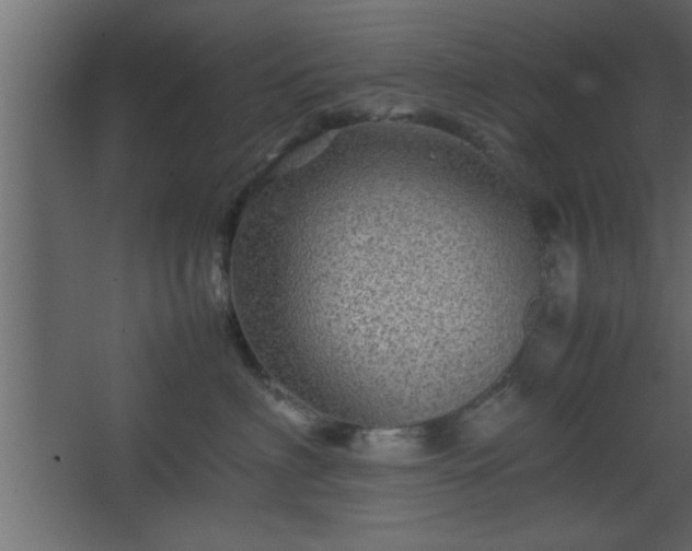 X0000067910622200604201406