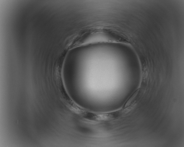 X0000067910623200604201406