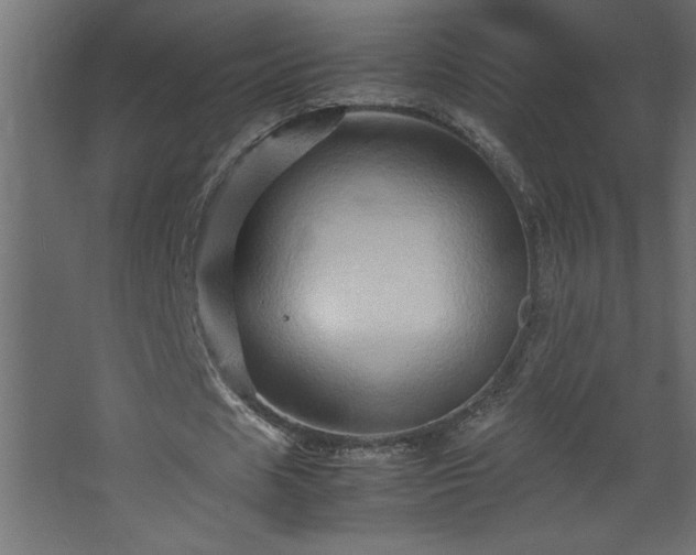 X0000067910625200604201405