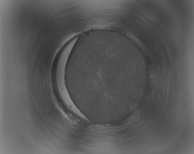 X0000067910626200604201405