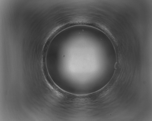 X0000067910629200604201405