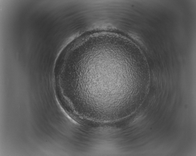 X0000067910630200604201405