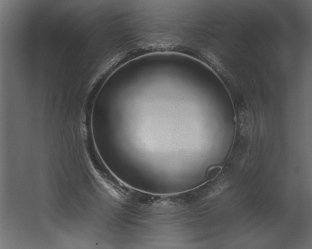 X0000067910634200604201405