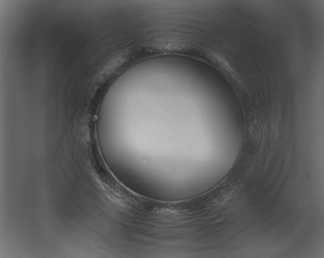 X0000067910635200604201405