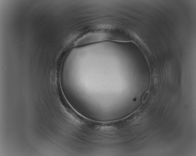 X0000067910637200604201405