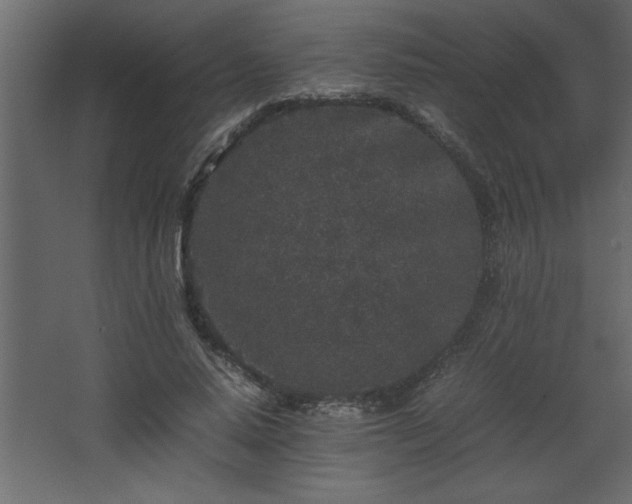 X0000067910640200604201405