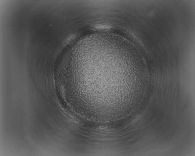 X0000067910641200604201405