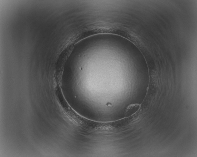 X0000067910642200604201405