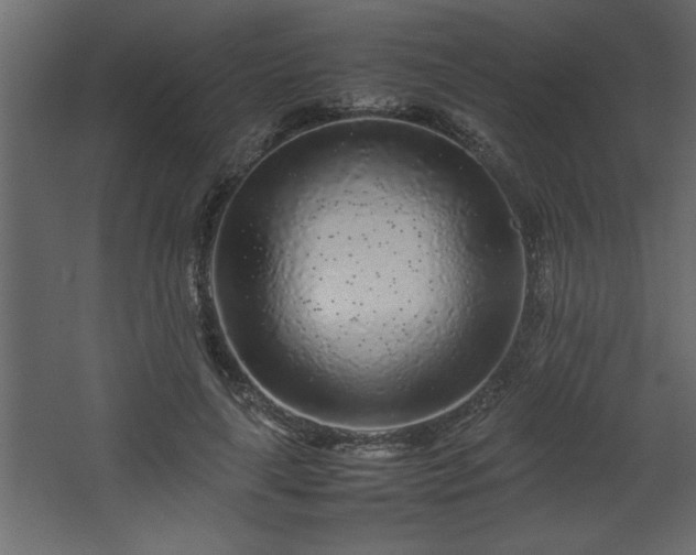 X0000067910643200604201405