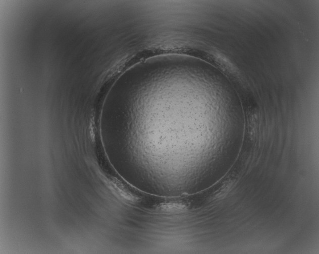 X0000067910644200604201405