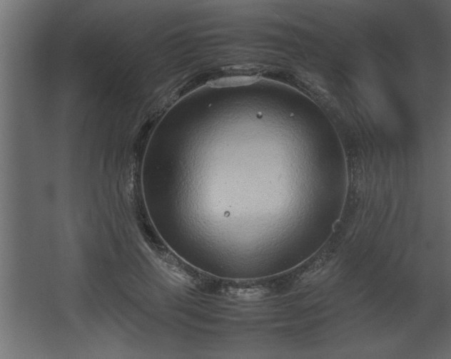 X0000067910645200604201405